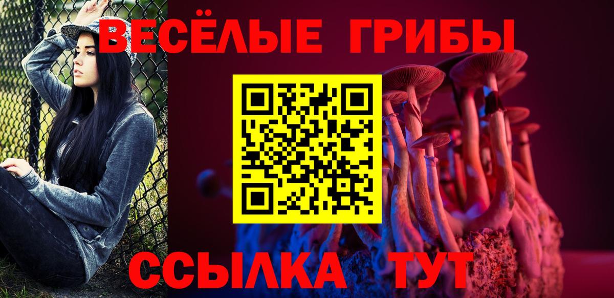 Псилоцибиновые грибы Psilocybe Красноперекопск